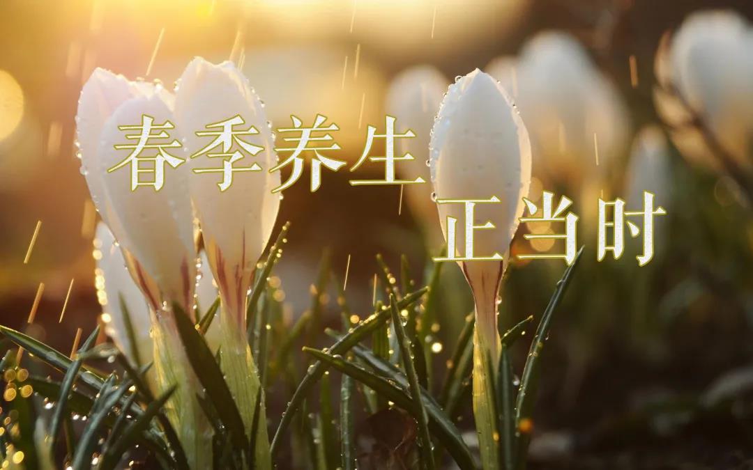 春天艾灸，陽(yáng)上增陽(yáng)，這些技巧別錯(cuò)過(guò)！